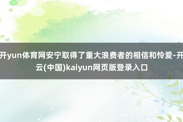 开yun体育网安宁取得了重大浪费者的相信和怜爱-开云(中国)kaiyun网页版登录入口
